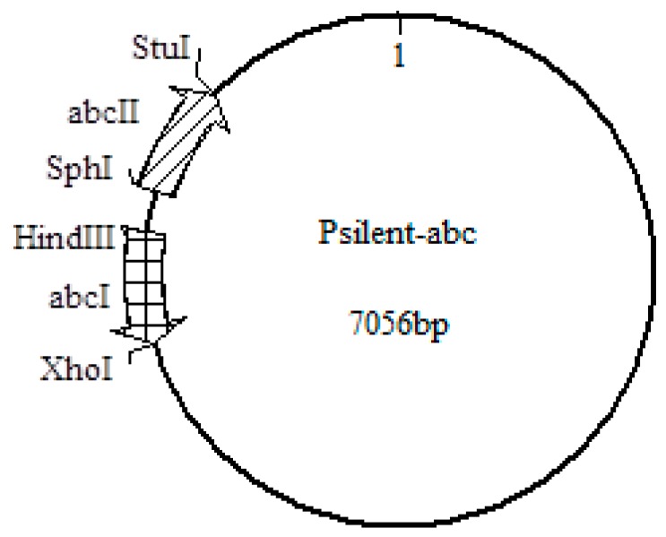 Figure 8