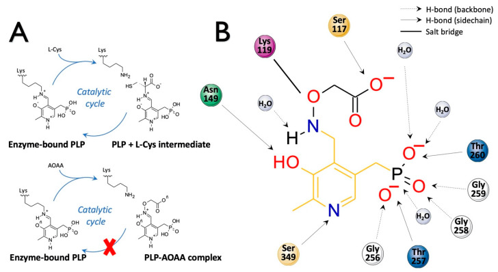 Figure 11