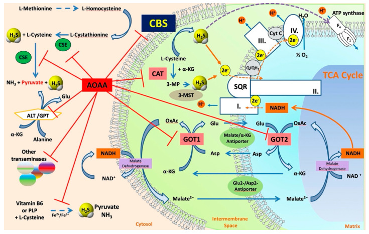 Figure 12