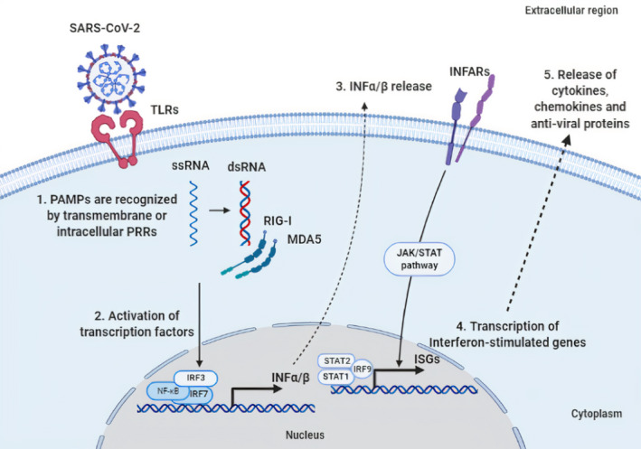 FIGURE 1