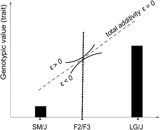 Figure 1.—