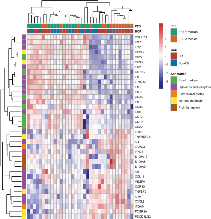 Figure 5. Heatmap of genes significantly associated with PFS by univariate Cox proportional hazards regression model. BOR, best overall response; CR, complete response; PFS, progression-free survival.