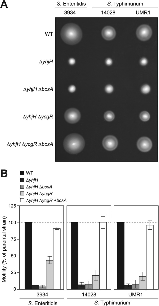 Fig 6