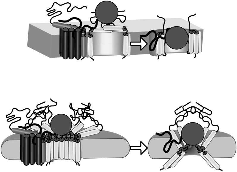 Figure 7.