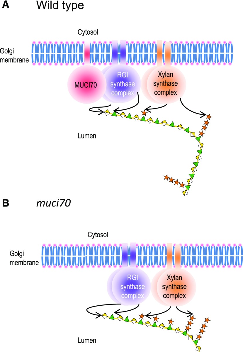 Figure 13.