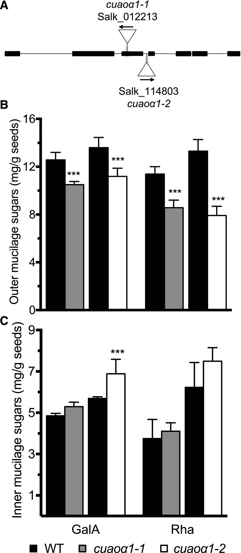 Figure 12.