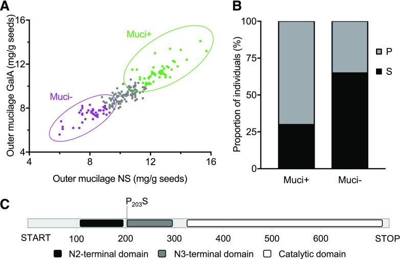 Figure 11.