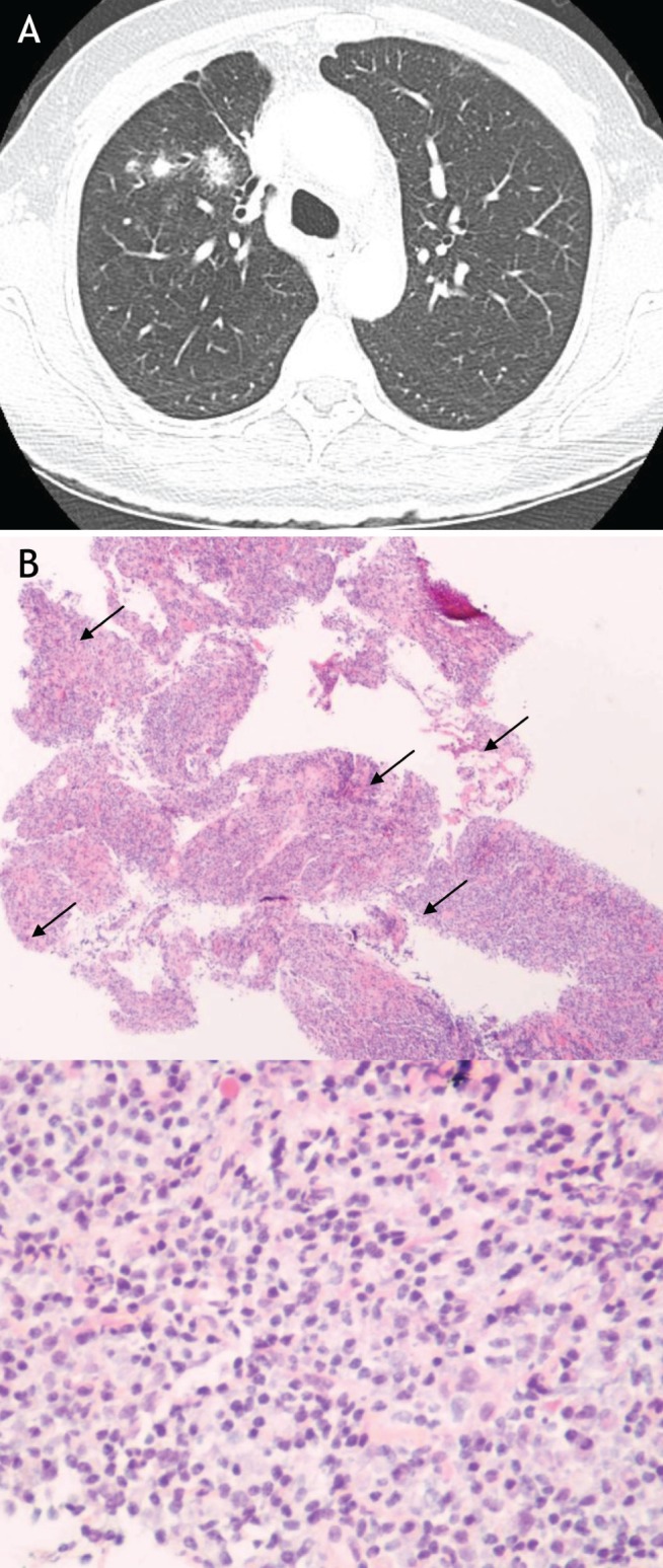 Figure 3)