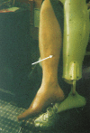 Figure 12)