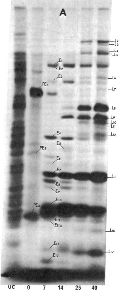 graphic file with name pnas00139-0233-a.jpg