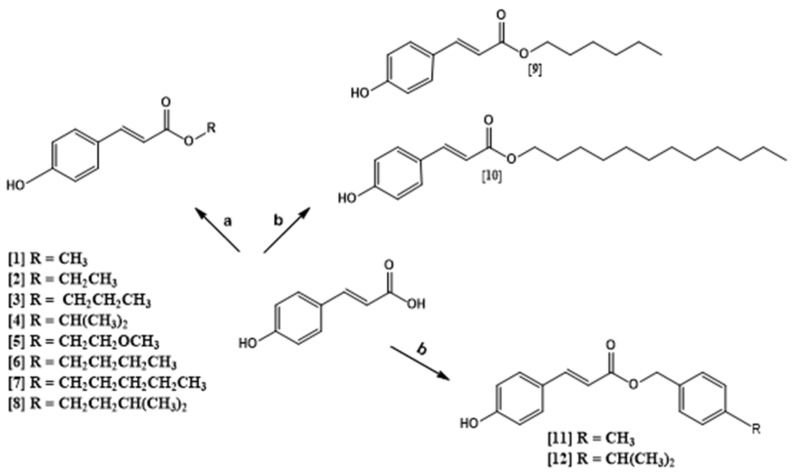 Scheme 1