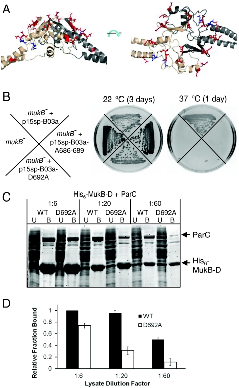 Fig. 4.