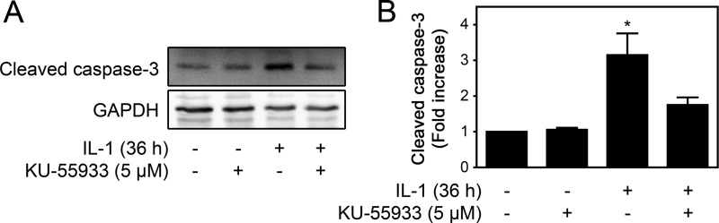 FIGURE 9.