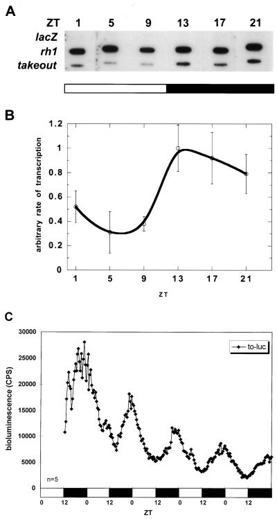 FIG. 4