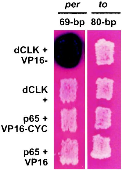 FIG. 7