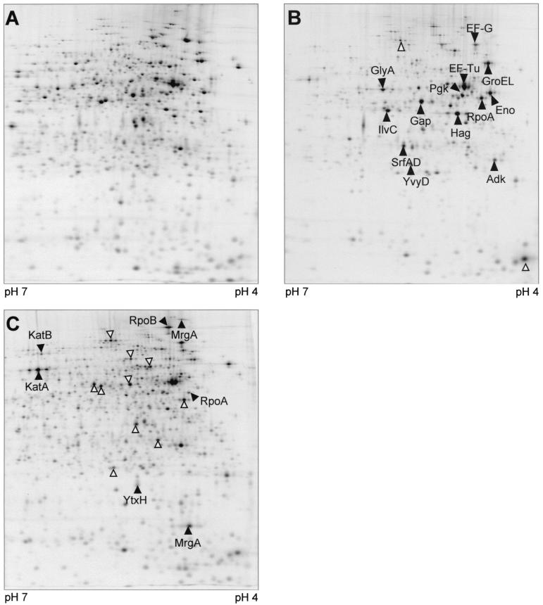 FIG. 7.