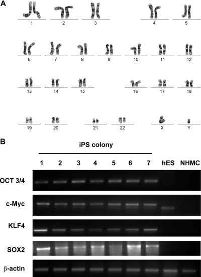 Figure 2.