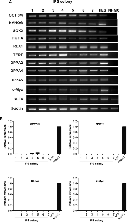 Figure 3.