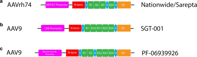 Fig. 2