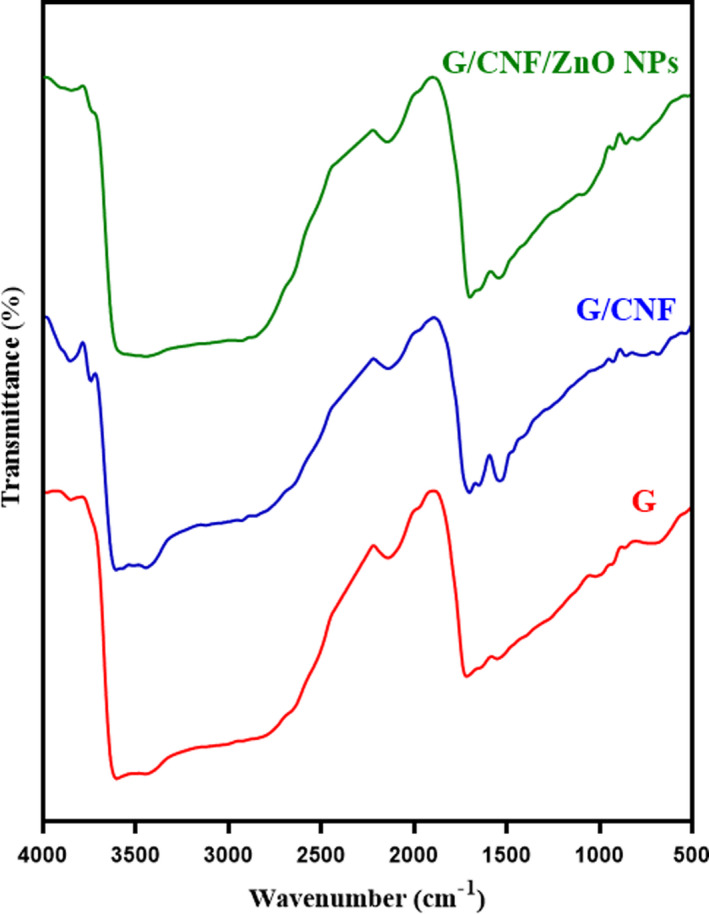 FIGURE 4