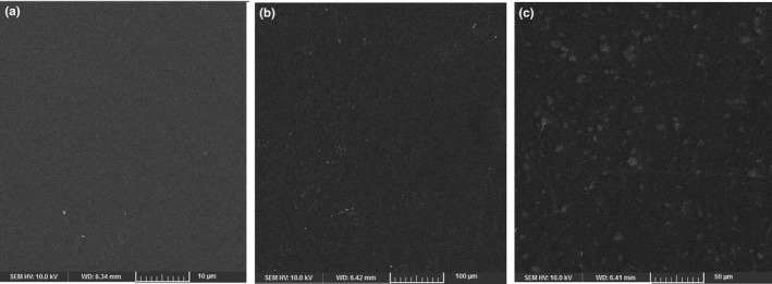 FIGURE 3