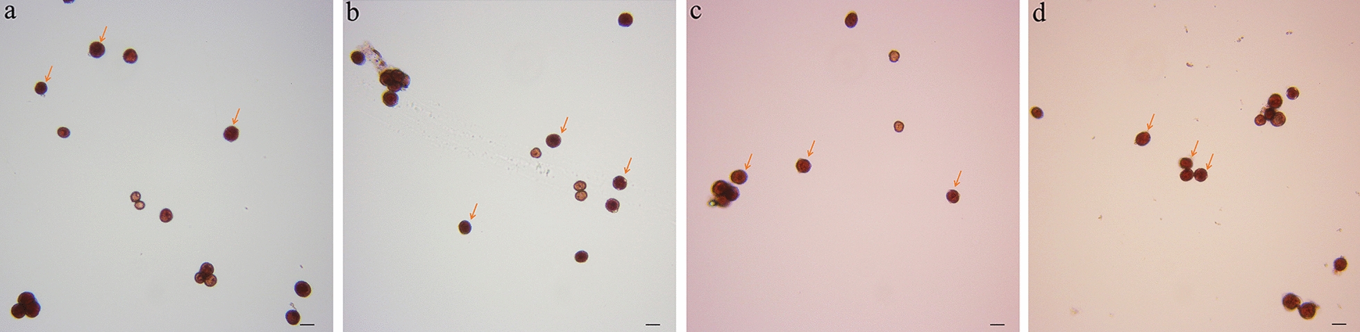 Fig. 3