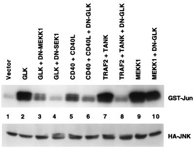 FIG. 7