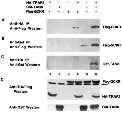 FIG. 6