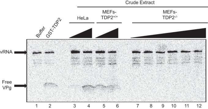 FIG 2 