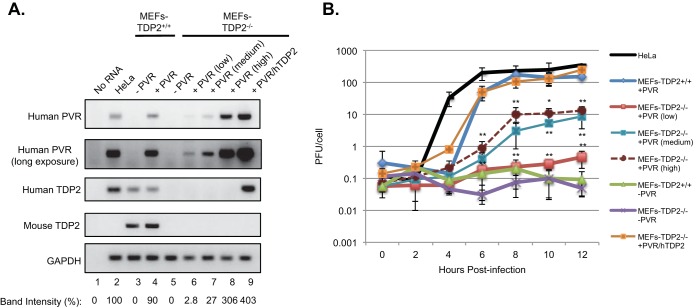 FIG 4 