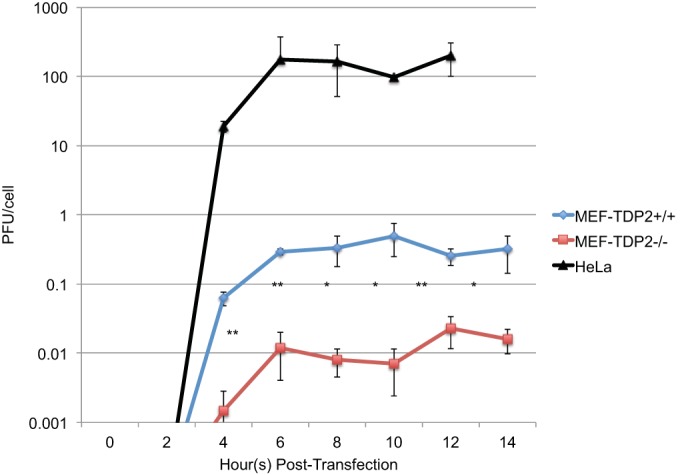 FIG 3 