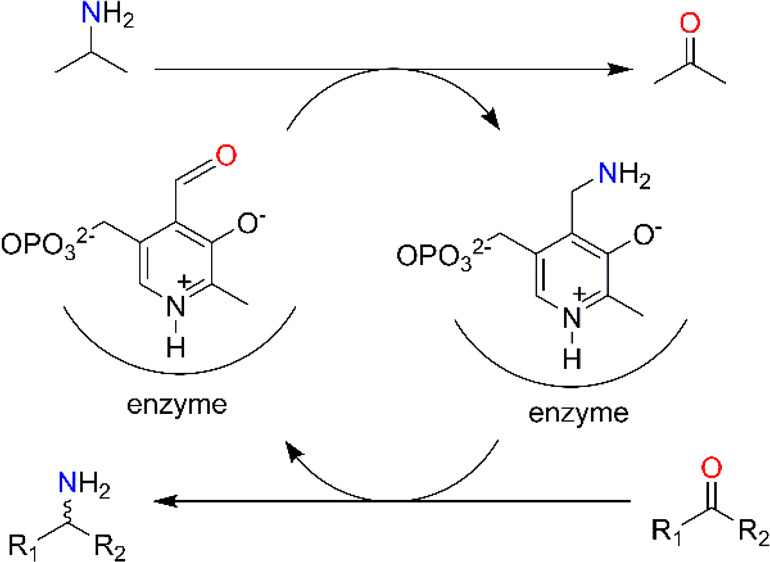 Scheme 1