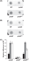 Fig 5