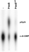 Fig 4
