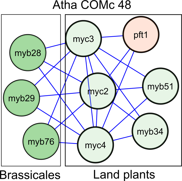 Figure 10.