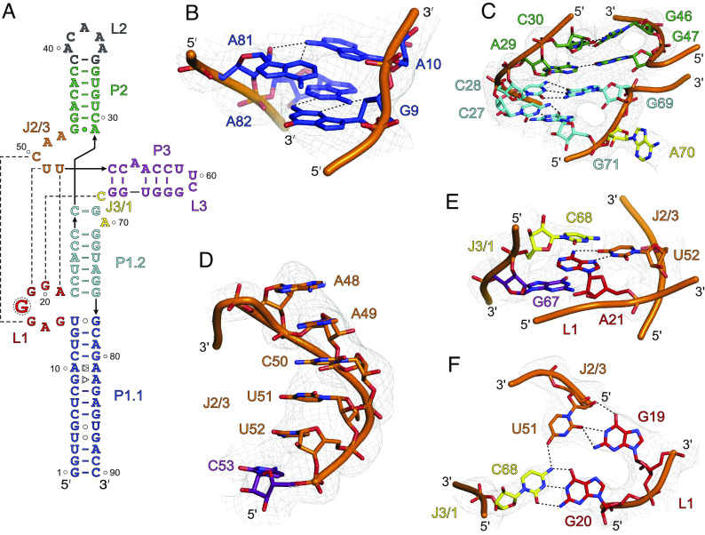 Fig. 3.