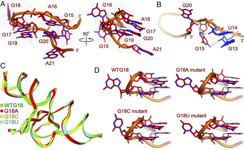 Fig. 4.