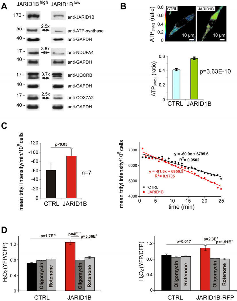 Overcoming intrinsic multi-drug resistance in melanoma by blocking the ...