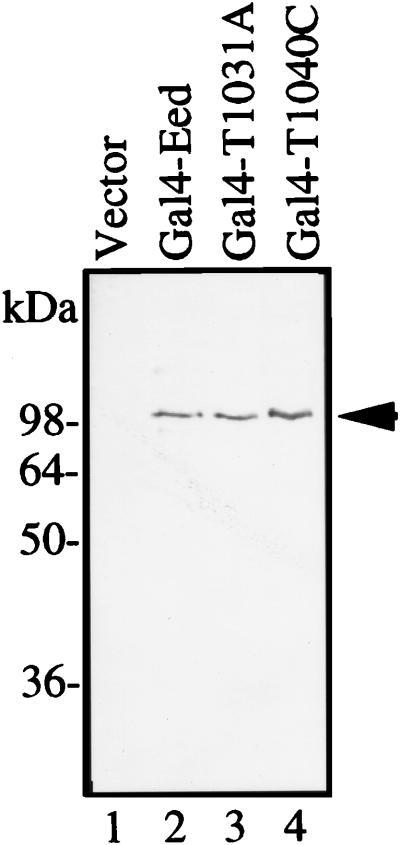 FIG. 7