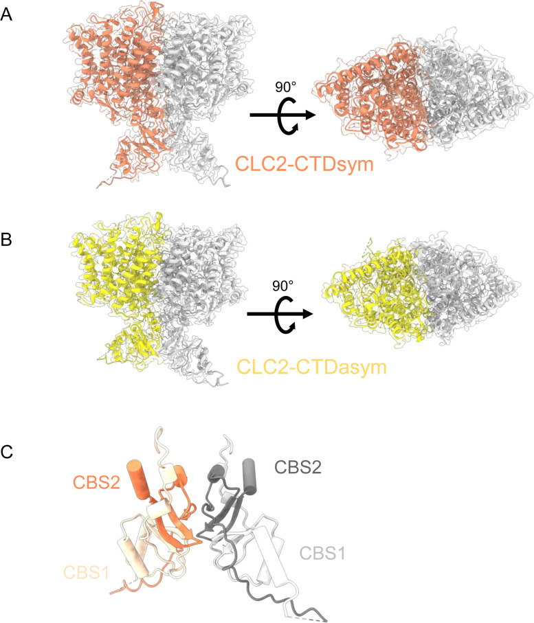 Figure 4—figure supplement 2.