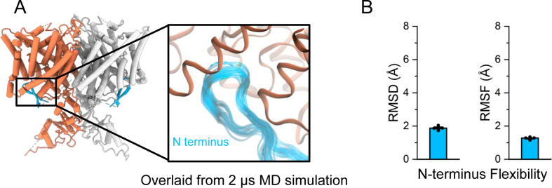 Figure 5—figure supplement 4.