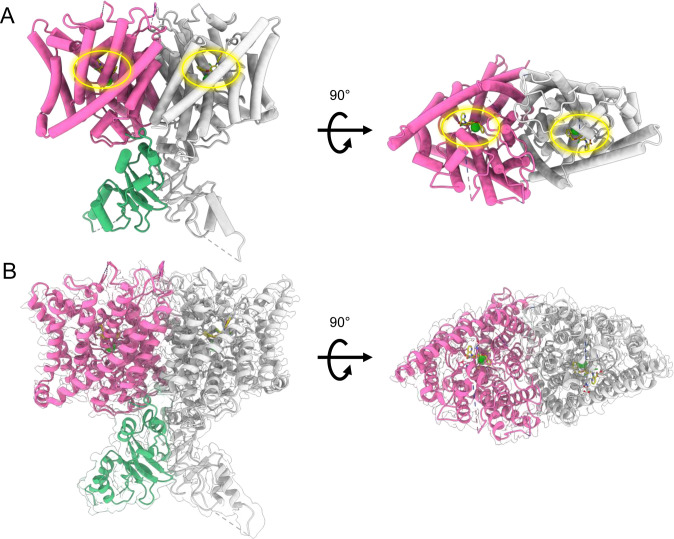 Figure 7—figure supplement 4.