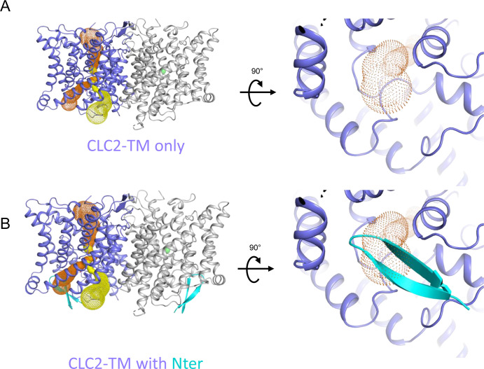 Figure 5—figure supplement 5.