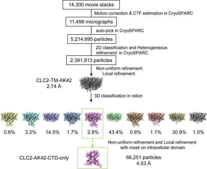 Figure 7—figure supplement 1.