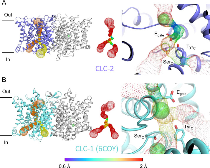 Figure 3.