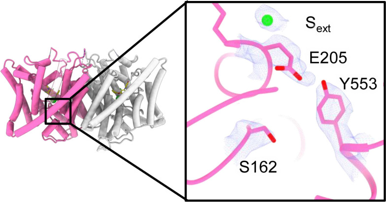 Figure 7—figure supplement 6.