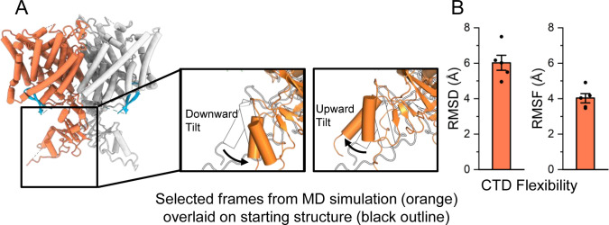 Figure 4—figure supplement 3.