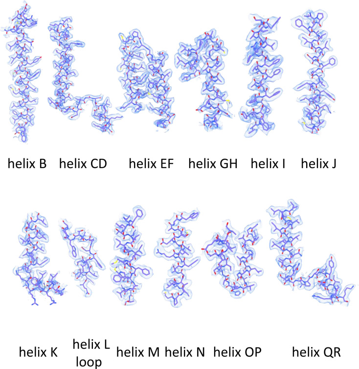 Figure 2—figure supplement 3.