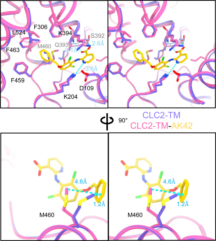 Figure 7—figure supplement 7.