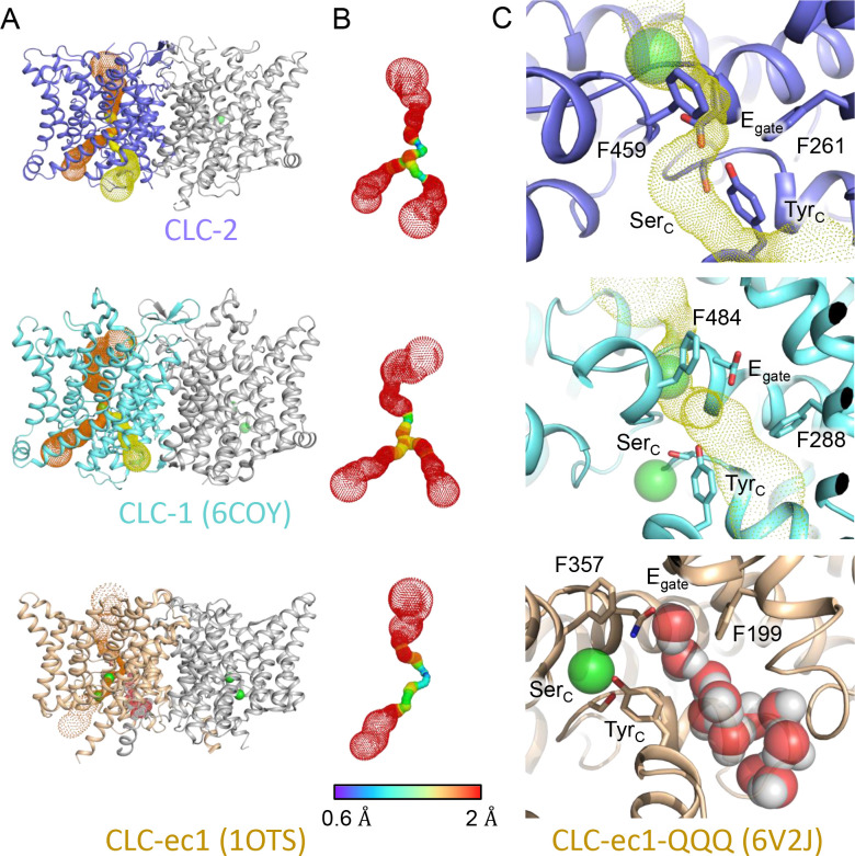 Figure 3—figure supplement 2.